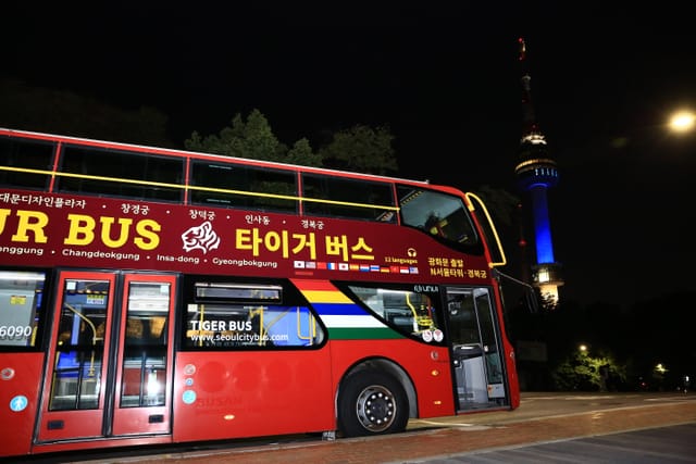 Seoul City Tour Bus: Night View Course	 - Photo 1 of 10